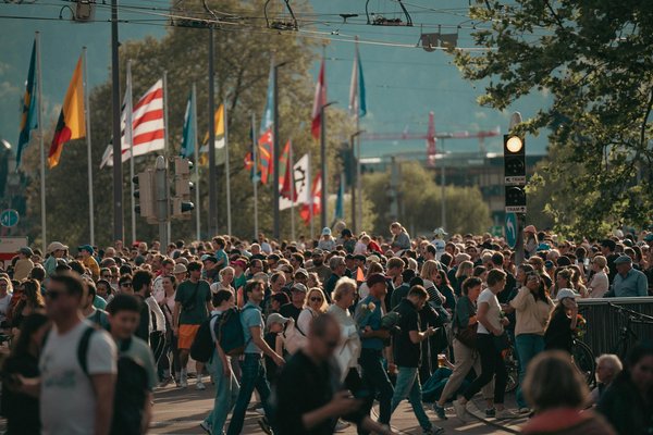 Avis distrokid : une plateforme à découvrir pour les artistes