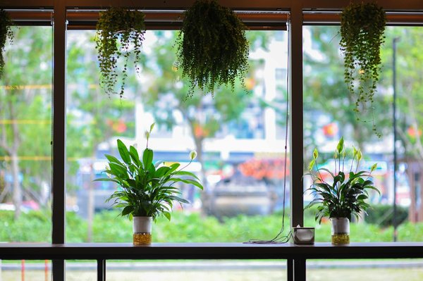 Visages Inspirants : Héros et Héroïnes de la Lutte pour les Droits des Femmes