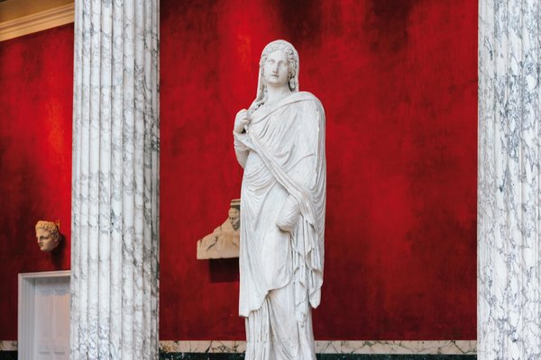 Champignon crinière de lion : élévation cognitive et bien-être